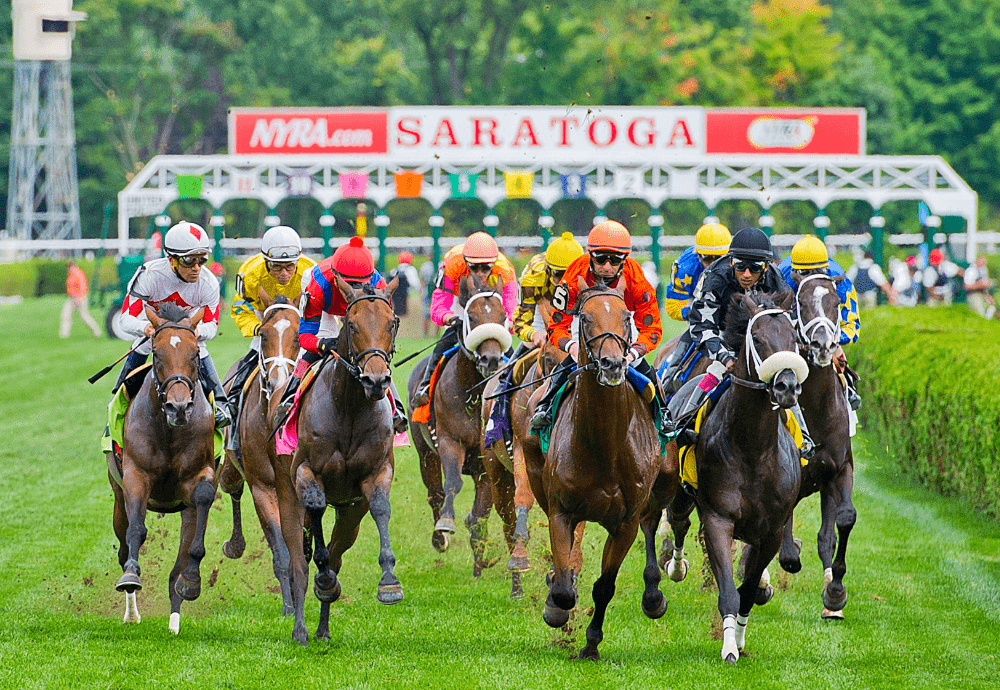 thoroughbred racing on grass