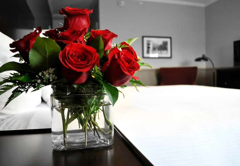 red roses